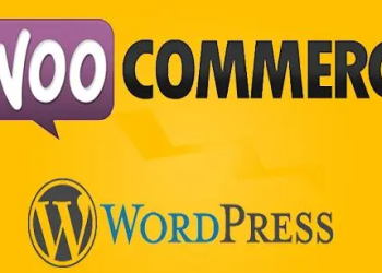 WordPress商店插件woocommerce搭建的电子商务网站为什么很卡？